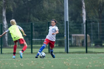 Bild 280 - C-Juniorinnen HSV - Walddoerfer : Ergebnis: 9:1